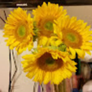 Meet your Posher, Trish